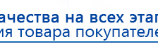 Пояс электрод купить в Рубцовске, Аппараты Меркурий купить в Рубцовске, Дэнас официальный сайт denasolm.ru